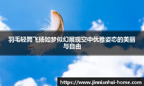 羽毛轻舞飞扬如梦似幻展现空中优雅姿态的美丽与自由